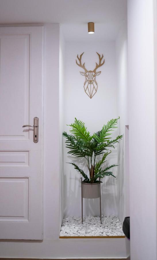 Coban - A3 - Scandinavian Apartment Brasov